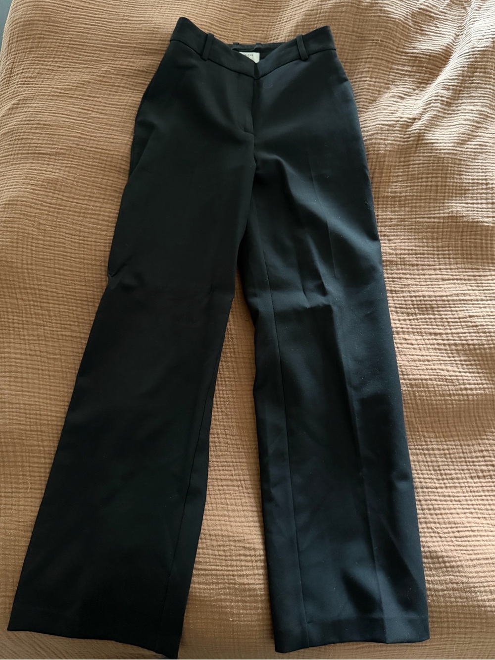 Aritzia Babaton agency pants